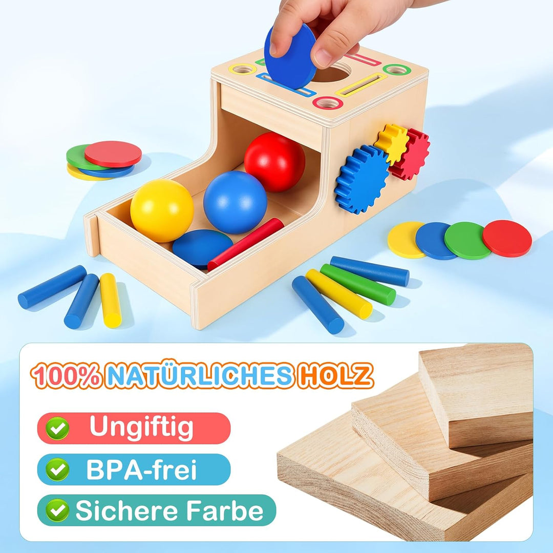 Montessori Spielzeug ab 1 Jahr, 5-in-1 Holz Objektpermanenz Box Montessori Spielzeug ab 2 3 Jahre Ba