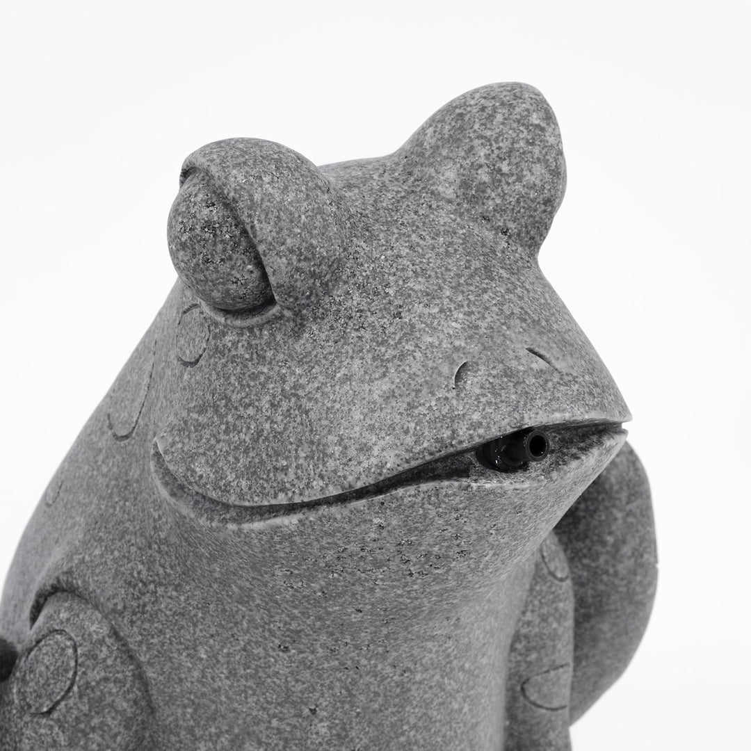 esotec Solar Wasserspeier Set Frosch sitzend, Solarpumpe, Teichfigur Gartenfigur Gartenstatue, Tauch