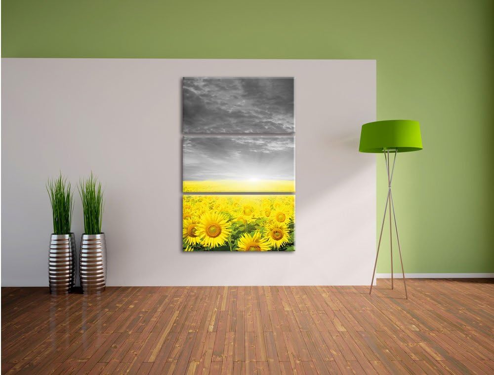 Pixxprint Sonnenblumenfeld bei Sonnenuntergang schwarz/weiss 3-Teiler Leinwandbild 120x80 Bild auf L
