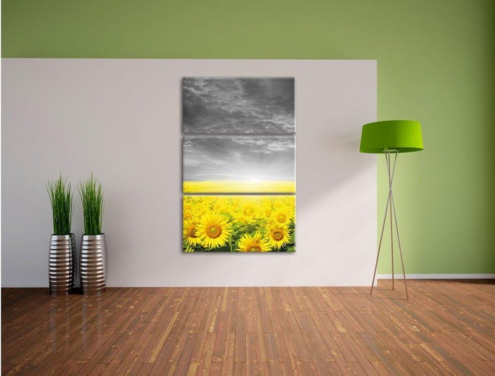 Pixxprint Sonnenblumenfeld bei Sonnenuntergang schwarz/weiss 3-Teiler Leinwandbild 120x80 Bild auf L