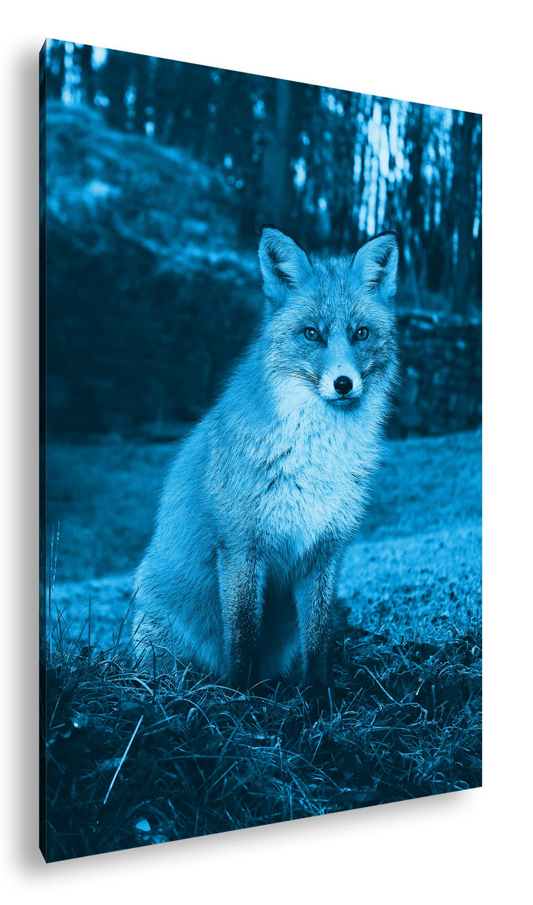 deyoli süsser Fuchs im Wald Format: 80x60 Effekt: Monocrome Blau als Leinwand, Motiv fertig gerahmt