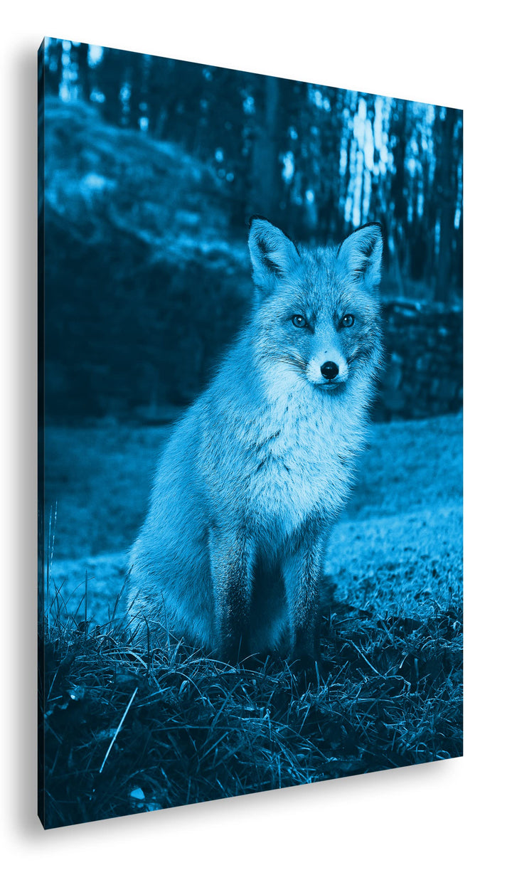 deyoli süsser Fuchs im Wald Format: 80x60 Effekt: Monocrome Blau als Leinwand, Motiv fertig gerahmt