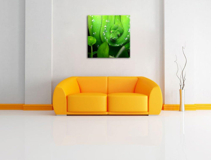 Grüne elegante Schlange, Format: 70x70 auf Leinwand, XXL riesige Bilder fertig gerahmt mit Keilrahme