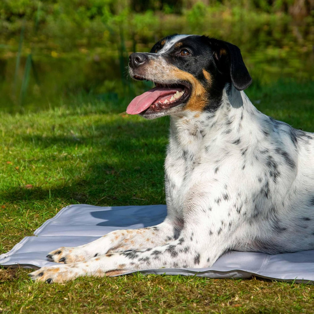 dobar® 60422 Kühlmatte für Hunde - Hundekühlmatte für Hund & Katze - selbstkühlende Matte für Hausti