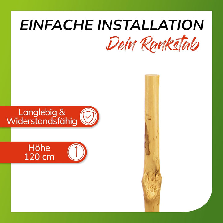 bellissa Bambusstäbe Rankhilfe Bambusstangen 100er-Set Bambusholz 120 cm | Pflanzenstütze für Rankpf