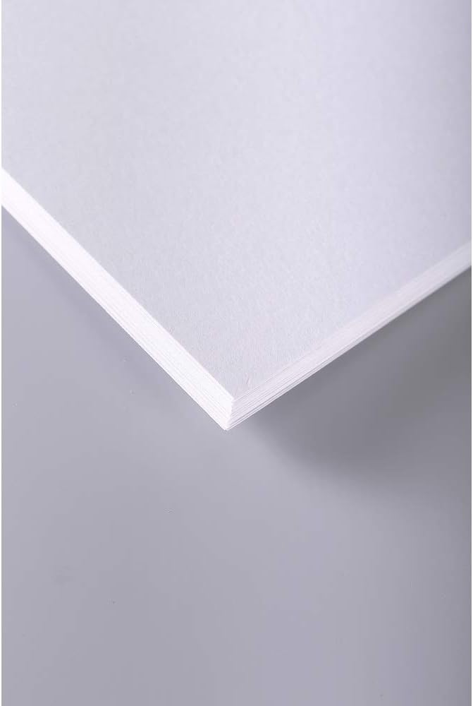 Clairefontaine 37334C Skizzenpapier (250 g, DIN A2, 42 x 59,4 cm, 125 Blatt, ideal für Künstler oder