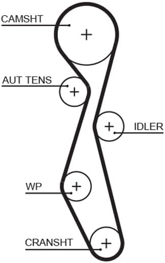 GATES Steuerriem 5633XS
