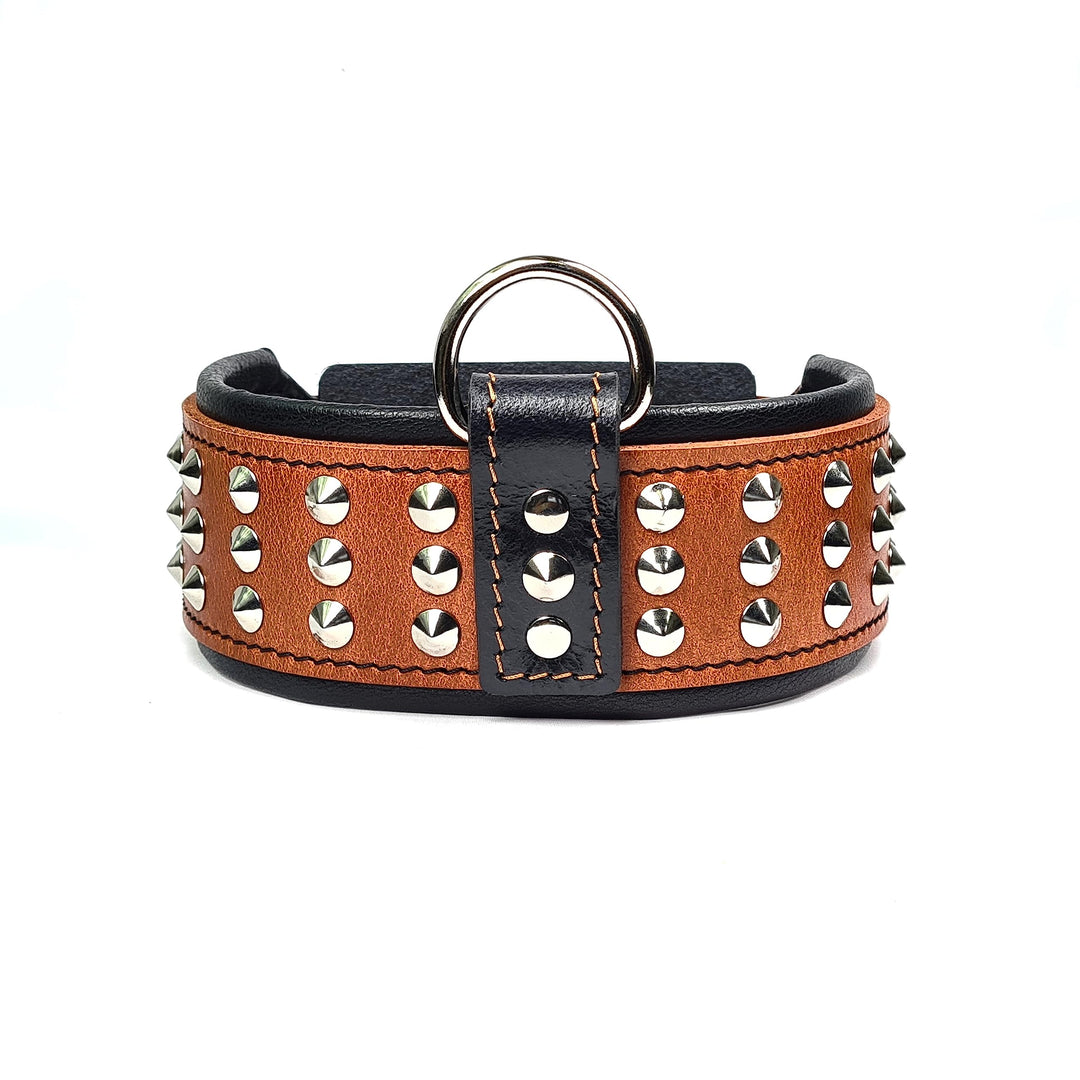 Bestia Star Hundehalsband mit Nieten und Innenpolsterung 6,5 cm Breit M- 42.5 bis 50 cm Halsumfang /