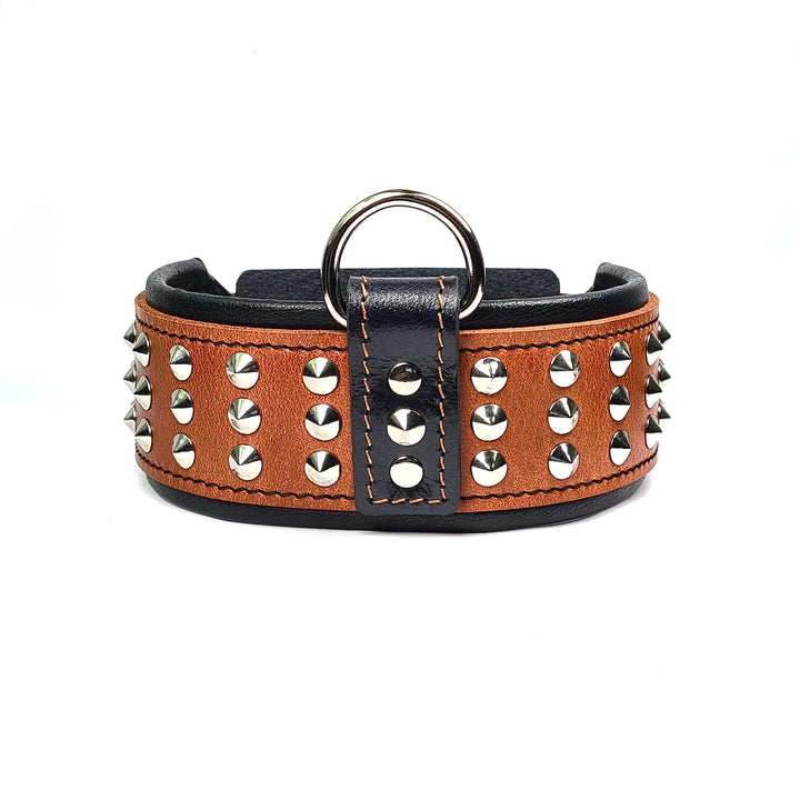 Bestia Star Hundehalsband mit Nieten und Innenpolsterung 6,5 cm Breit M- 42.5 bis 50 cm Halsumfang /
