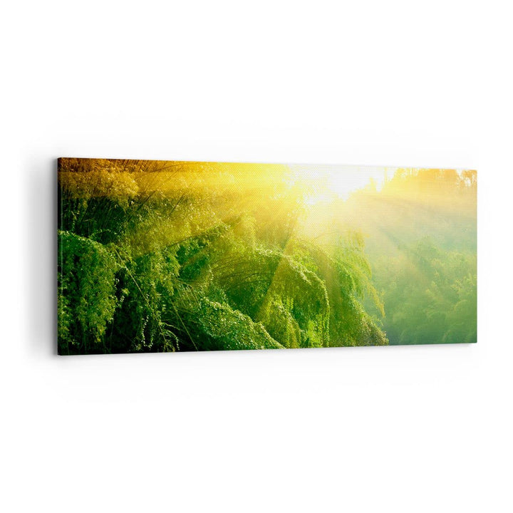 Wandbilder Dekoration Wohnzimmer Tropen Bäume Fluss Panorama Bilder auf Leinwand 120x50cm Leinwandbi