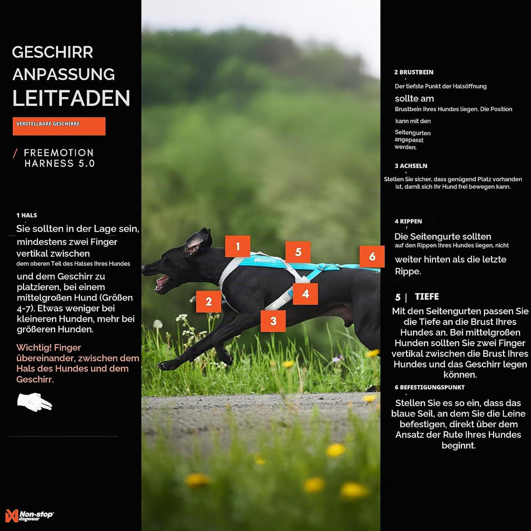 Non-stop dogwear Freemotion Harness 5.0 | Hunde-Geschirr für alle Sportarten, Grösse:Grösse 3 schwar