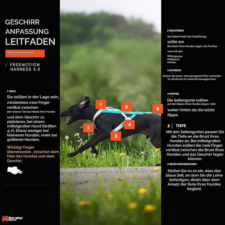 Non-stop dogwear Freemotion Harness 5.0 | Hunde-Geschirr für alle Sportarten, Grösse:Grösse 3 schwar
