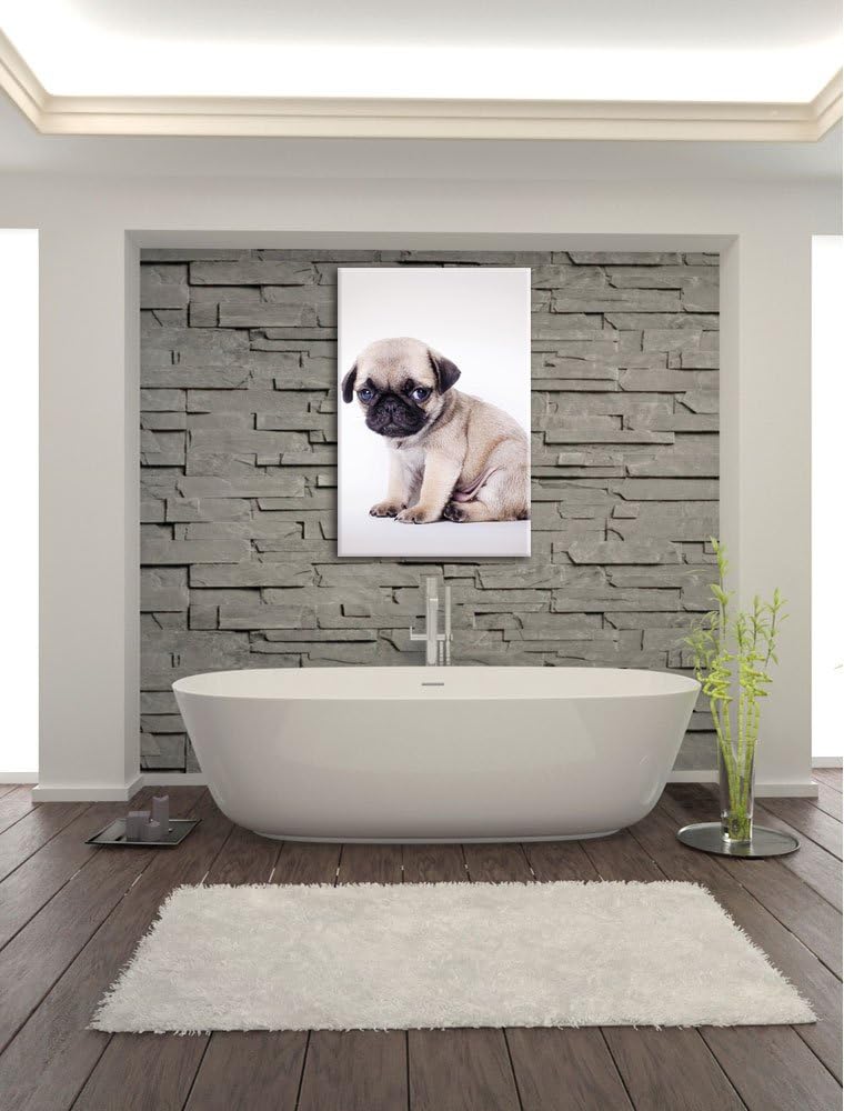 Kleiner Hundewelpe Mops, Format: 100x70 auf Leinwand, XXL riesige Bilder fertig gerahmt mit Keilrahm