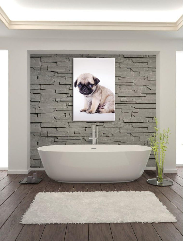Kleiner Hundewelpe Mops, Format: 100x70 auf Leinwand, XXL riesige Bilder fertig gerahmt mit Keilrahm