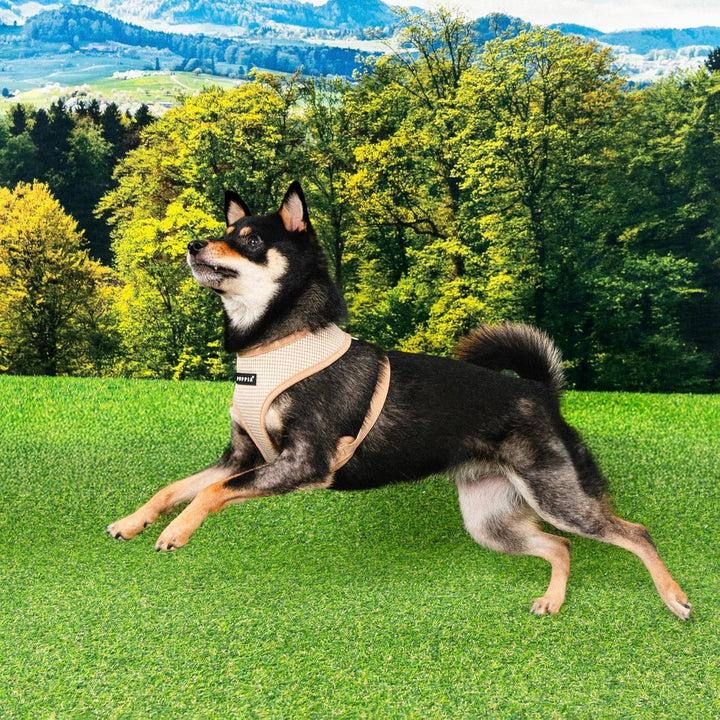 Puppia Amatus Hundegeschirr A (über den Kopf), modisches Hahnentrittmuster, Frühling Sommer Geschirr
