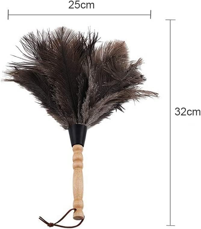 Staubwedel Straussenfeder, Razatik Schuhanzieher Staubwedel Antistatisch Holzgriff Feder Staubwische