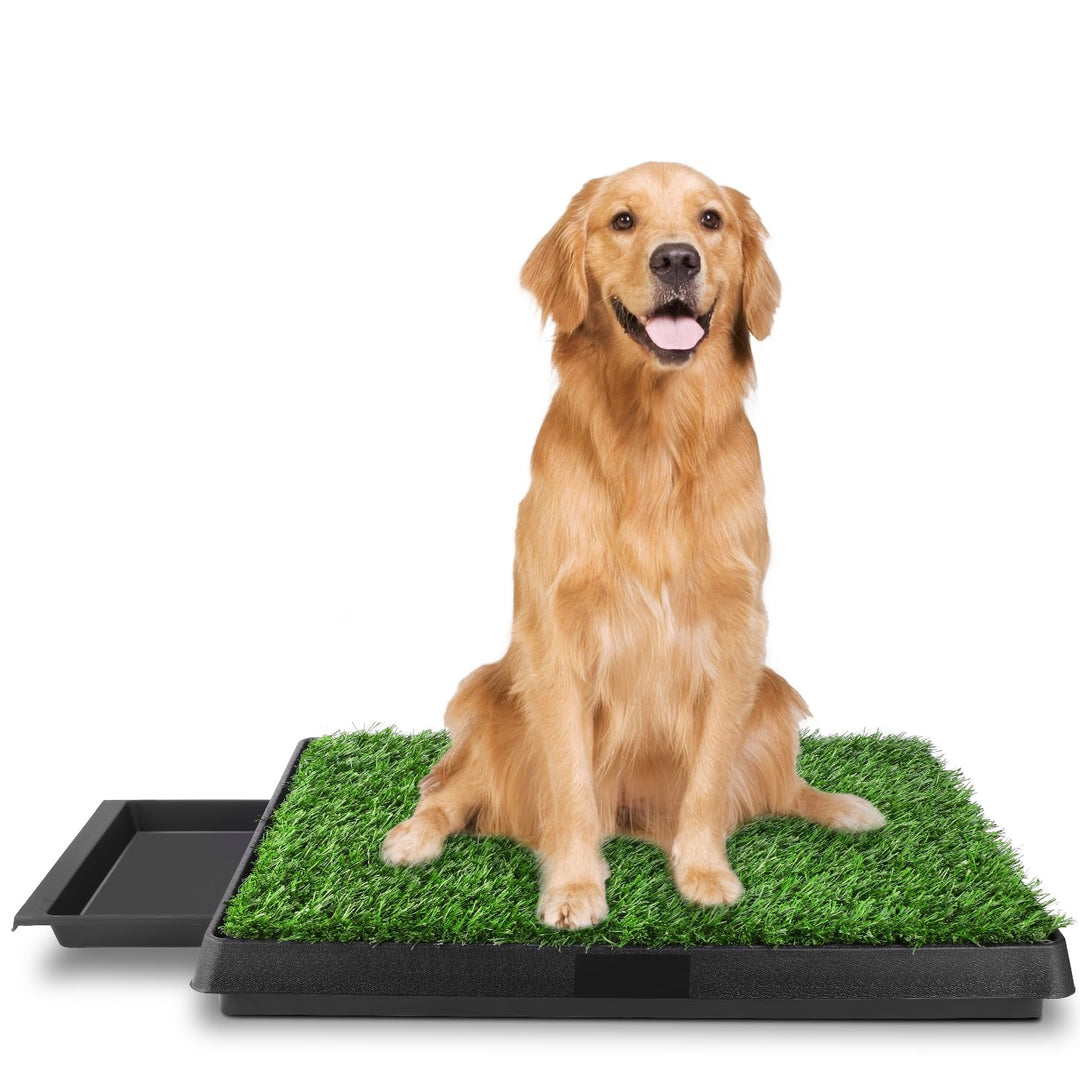 63 x 50 cm grosse Hundetoilette, Welpentoilette, Trainingsunterlage für kleine, grosse und ältere Hu