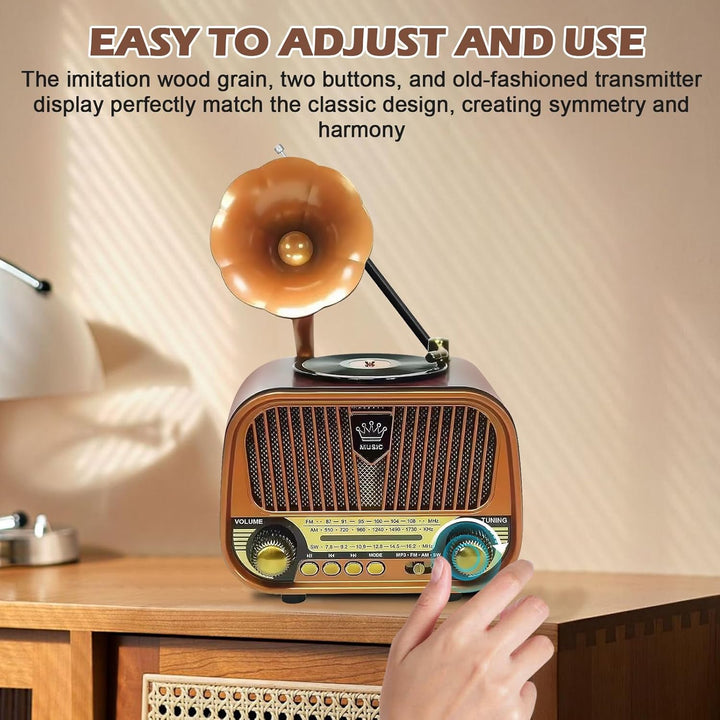 Retro Radio Klein AM/FM/SW, Nostalgie Radio mit Bluetooth, Unterstützt USB/TF/AUX Funktion, Tragbar