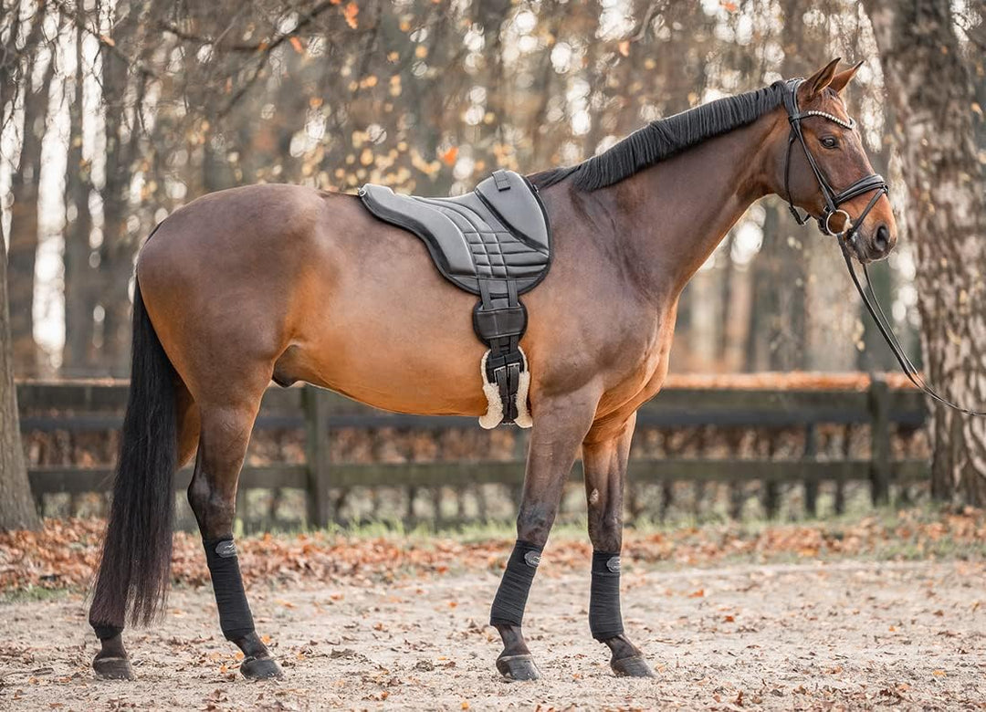 Equinate Reitpad Stella aus synthetischem Leder Pferd Schwarz - Bareback Pad mit pflegeleichter Neop