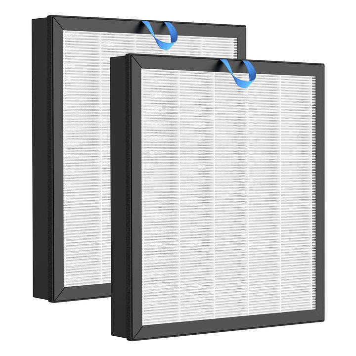 Vital 100S Ersatzfilter für LEVOIT Luftreiniger, 2 Pack H13 HEPA Filter und Aktivkohlefilter Kompati