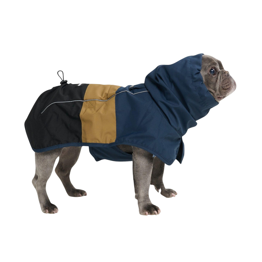 Spark Paws Hunderegenmantel, wasserdichte Winddichte Regenjacke Blue Gold Black L, Blue Gold Black L