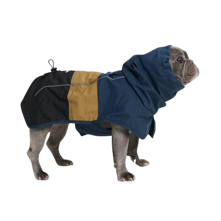 Spark Paws Hunderegenmantel, wasserdichte Winddichte Regenjacke Blue Gold Black L, Blue Gold Black L