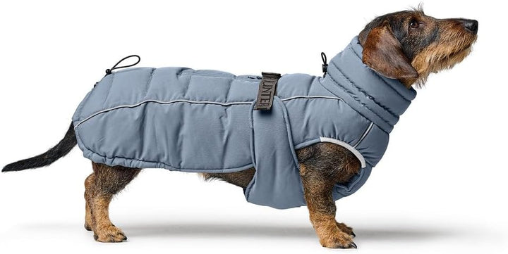 HUNTER Hundemantel Paxson Dachshund, Farbe: taubenblau, wasserabweisend & warm gefüttert, idealer We