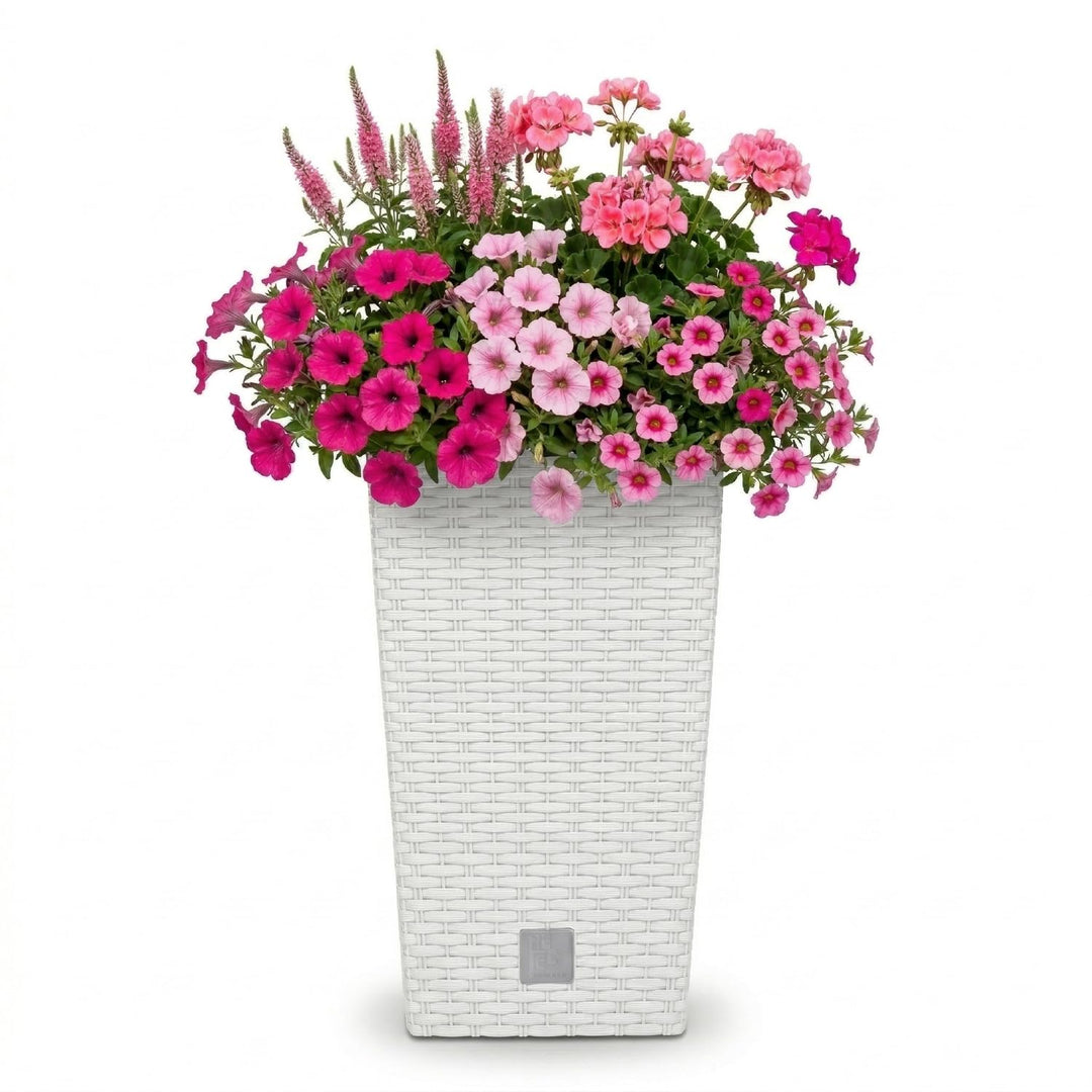 Prosperplast Rato Square Blumentopf 26,5 x 26,5 x 50 cm Weiss | Moderner Pflanzkübel in Rattan-Optik