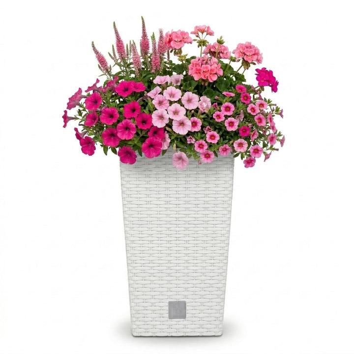 Prosperplast Rato Square Blumentopf 26,5 x 26,5 x 50 cm Weiss | Moderner Pflanzkübel in Rattan-Optik