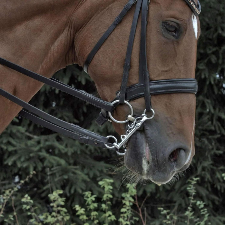Sprenger Bemelmans Reitkandare 14 mm Sensogan mit Kette 7cm 13.5, 13.5
