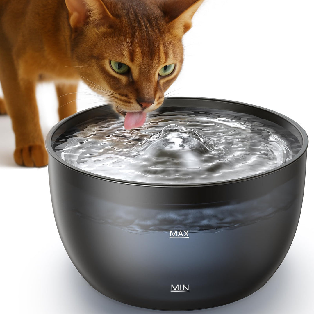 FEELNEEDY Trinkbrunnen für Katzen - 3L Katzenbrunnen Leise mit Aktivkohlefilter - Trinkschale aus Ed