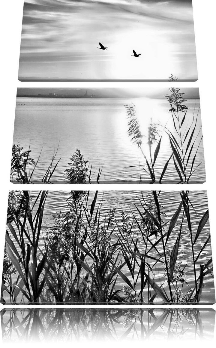 Pixxprint Sonnenuntergang am See als Leinwandbild/Grösse: 3 Teilig (120x80) cm/Wandbild/Kunstdruck/f