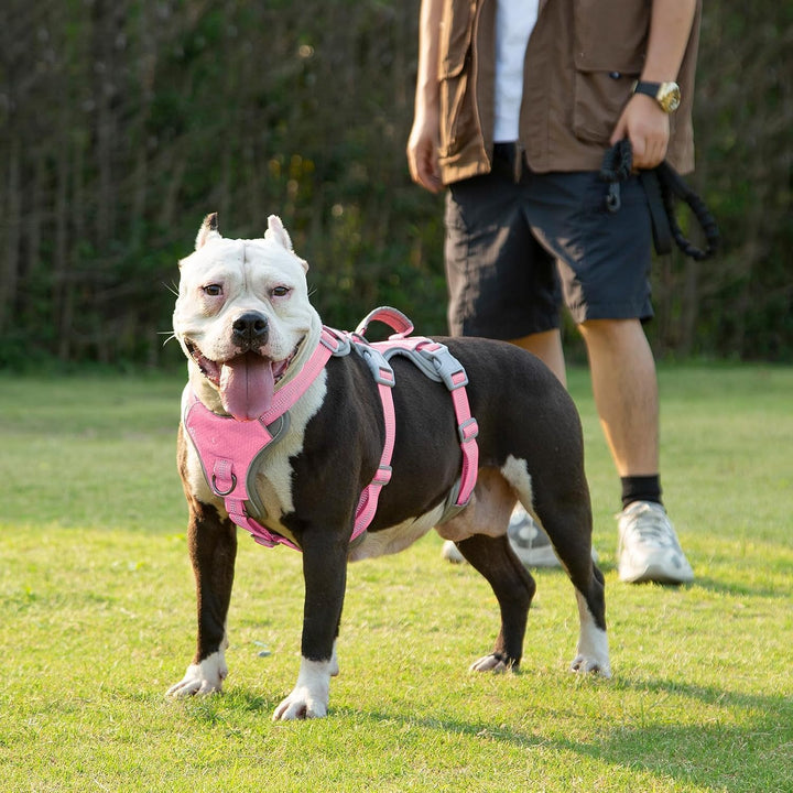 Huntboo Panikgeschirr für Hunde, Hundegeschirr Grosse Hunde, hEeflektierendes Geschirr mit Gepolster