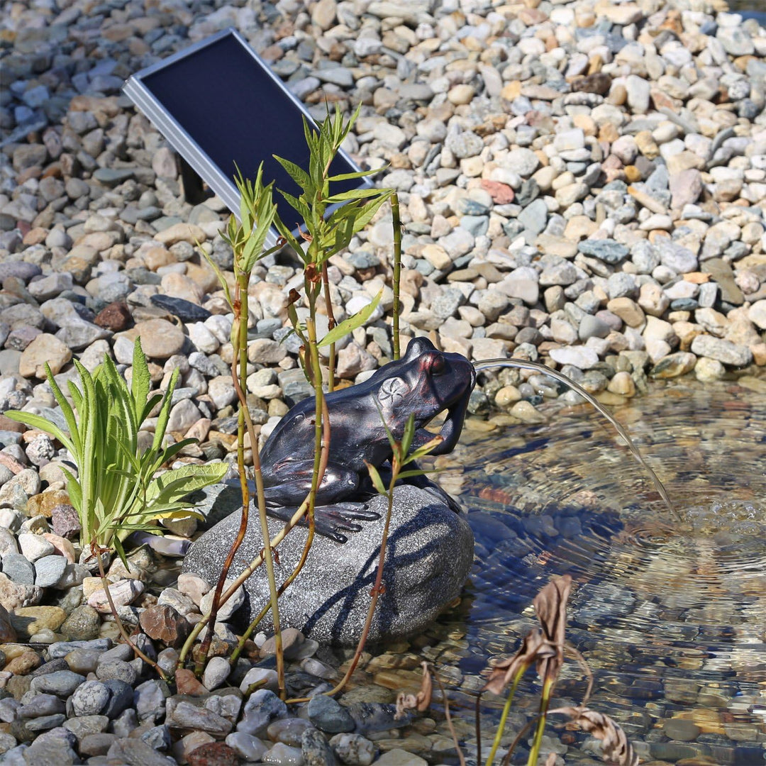 CLGarden Set Frosch Wasserspeier NSP10 Teichfigur Solarbrunnen mit Solar Pumpe für Teich Gartenteich