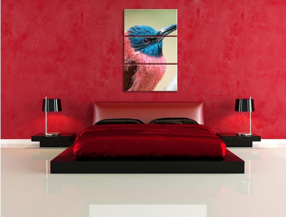 Pixxprint Kleiner tropischer Vogel als Leinwandbild/Grösse: 3 Teilig (120x80) cm/Wandbild/Kunstdruck