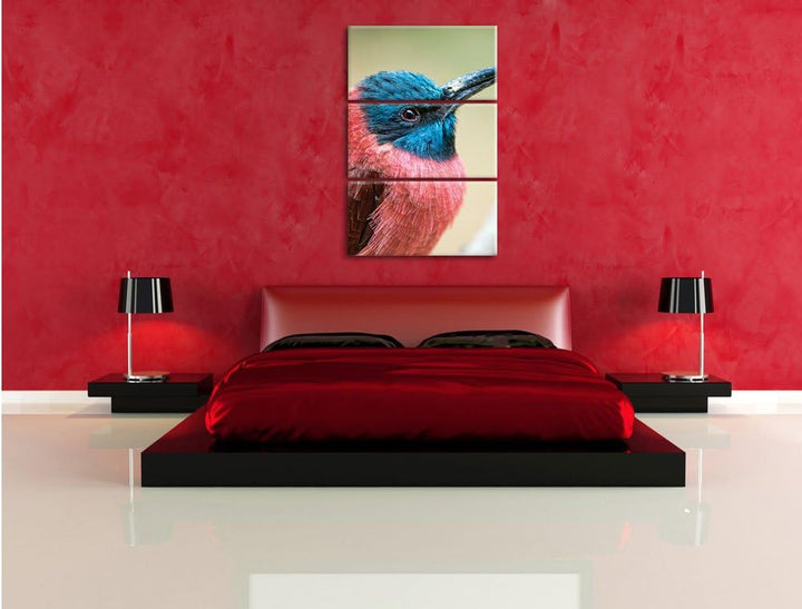 Pixxprint Kleiner tropischer Vogel als Leinwandbild/Grösse: 3 Teilig (120x80) cm/Wandbild/Kunstdruck