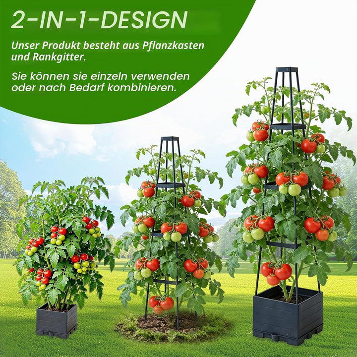 BRGD 2 Pack Selbstbewässerung Tomatentopf mit Rankhilfe, Pflanzkübel Pflanzenstütze für den Anbau vo