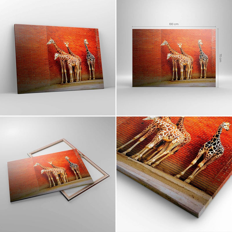 Bilder auf Leinwand 100x70cm Leinwandbild Tiere Giraffen Zoo Familie Gross Wanddeko Bild Schlafzimme