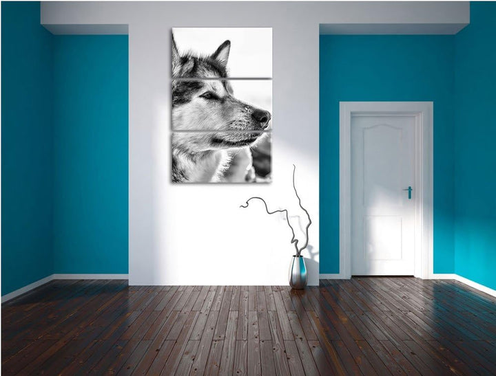 Pixxprint Monocrome, Husky im Schnee 3-Teiler Leinwandbild 120x80 Bild auf Leinwand