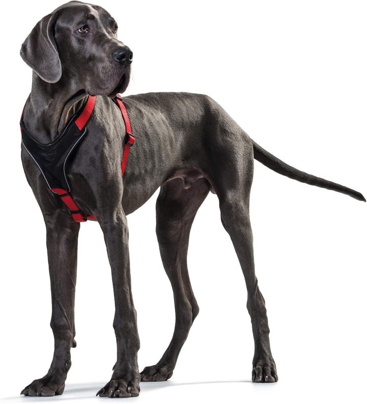 HUNTER NEOPREN Hundegeschirr, Nylon, gepolstert mit Neopren, M/2 58 - 72 cm, rot/schwarz rot/schwarz
