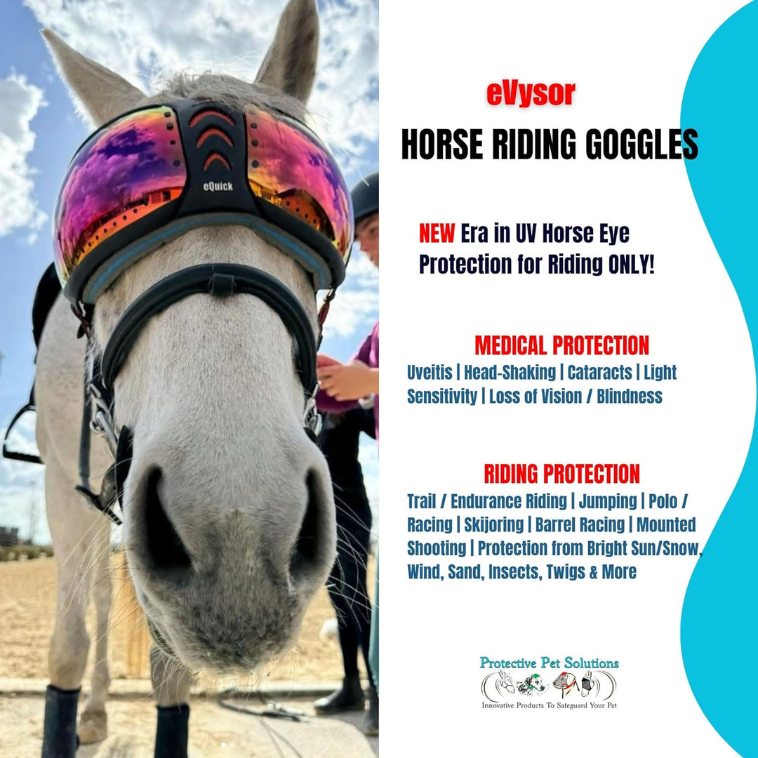 EQUICK Brille Pferd eVysor