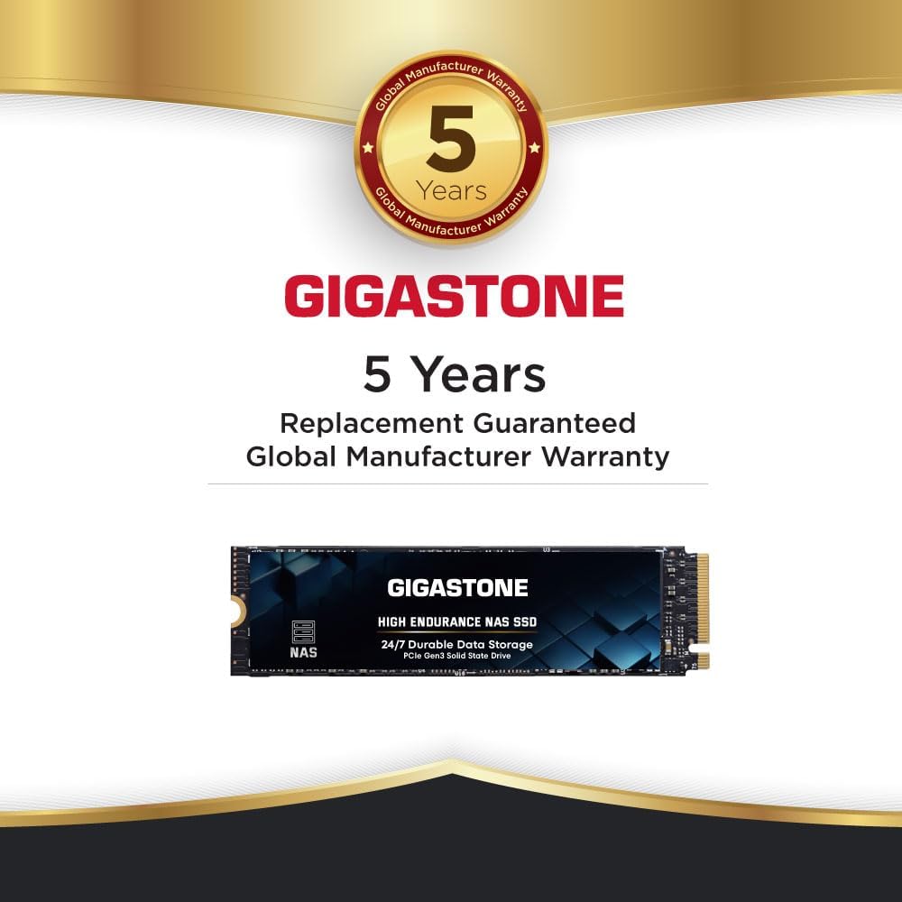 Gigastone SSD 500 GB M.2 NAS SSD 24/7 High Endurance Cache für Network Attached Storage Business Dat