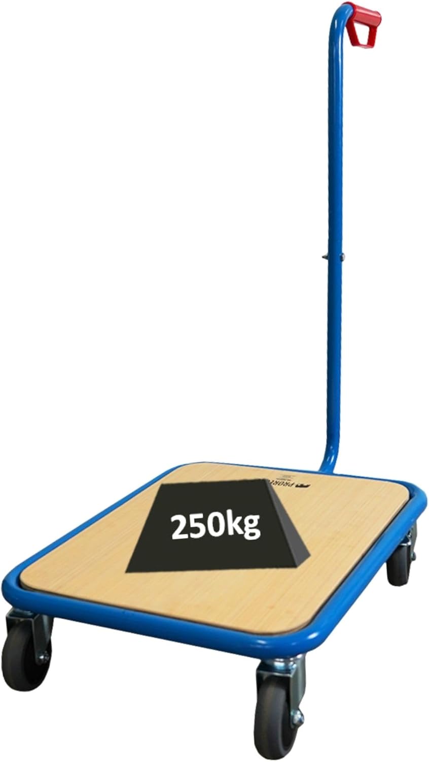 PROREGAL Profi Griffroller | HxBxT 96x50x60 cm | Traglast 250kg | 2X Lenkrollen mit Feststellbremse