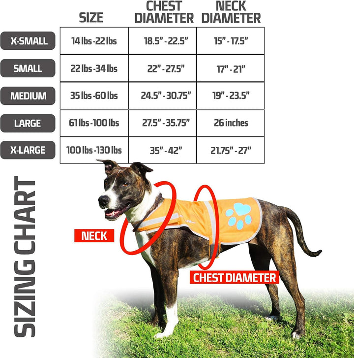 SafetyPUP XD Wasserdichte Hundeweste aus weichem Material, hohe Sichtbarkeit, ideal in kühleren Klim