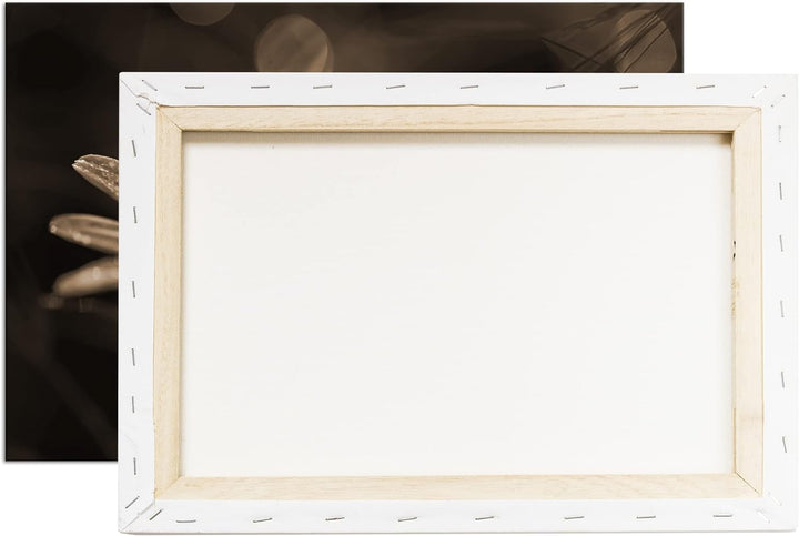 deyoli Margerite im Morgentau Effekt: Sepia Format: 120x80 als Leinwandbild, Motiv fertig gerahmt au