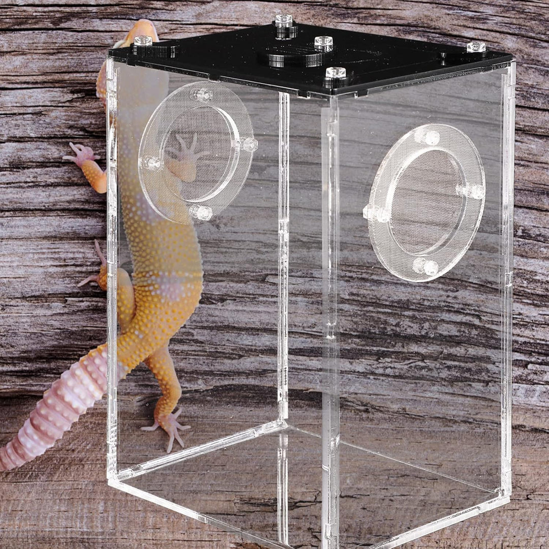 Hemobllo Springspinne Terrarium Set Acryl- -Terrarium: Transparente Reptilienzucht Springspinnen-Zuc