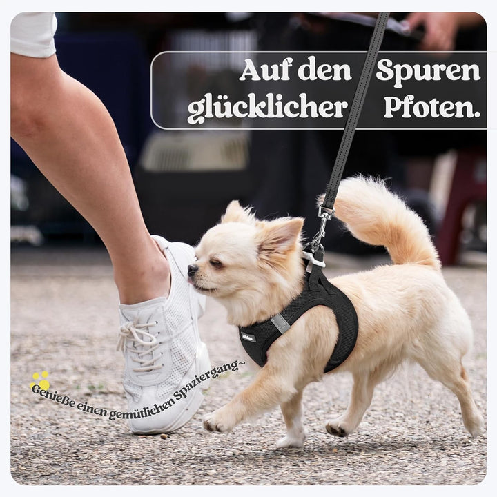 rabbitgoo Hundegeschirr Kleine Hunde mit Leine, Step-in Welpengeschirr Weich Mesh für Spaziergänge,