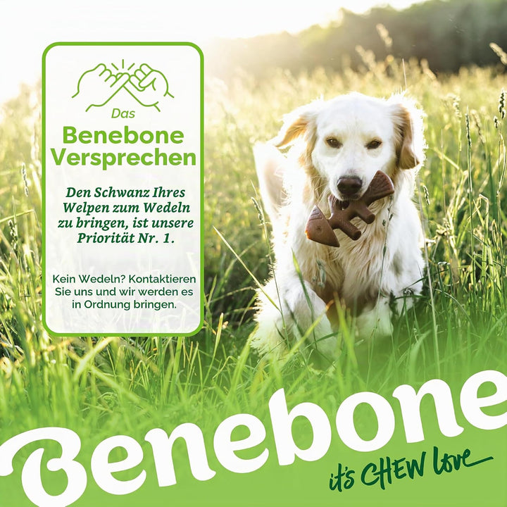 Benebone Unzerstörbare Hunde-Kauspielzeug-Geschenkbox für aggressive Kauer mit Querlenker, Fischgrät