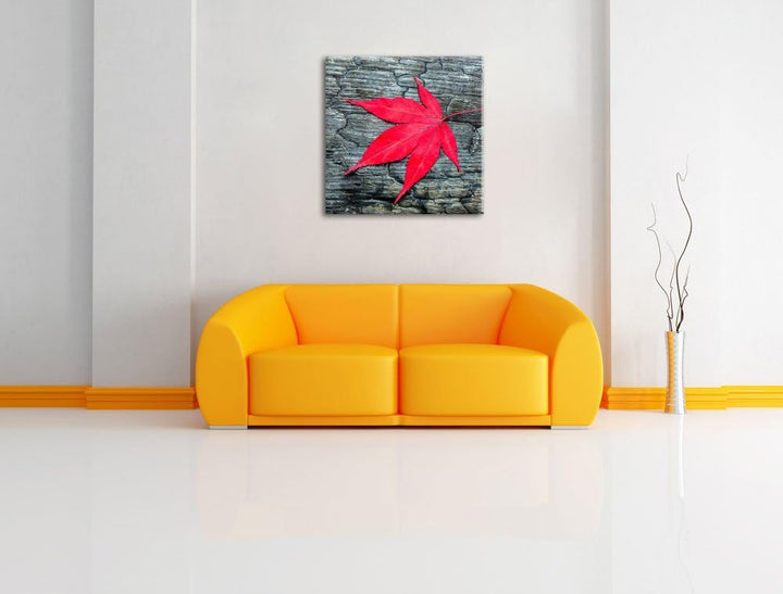 Pixxprint Rotes Blatt auf Holz Laub Natur, Format: 70x70 auf Leinwand, 70x70