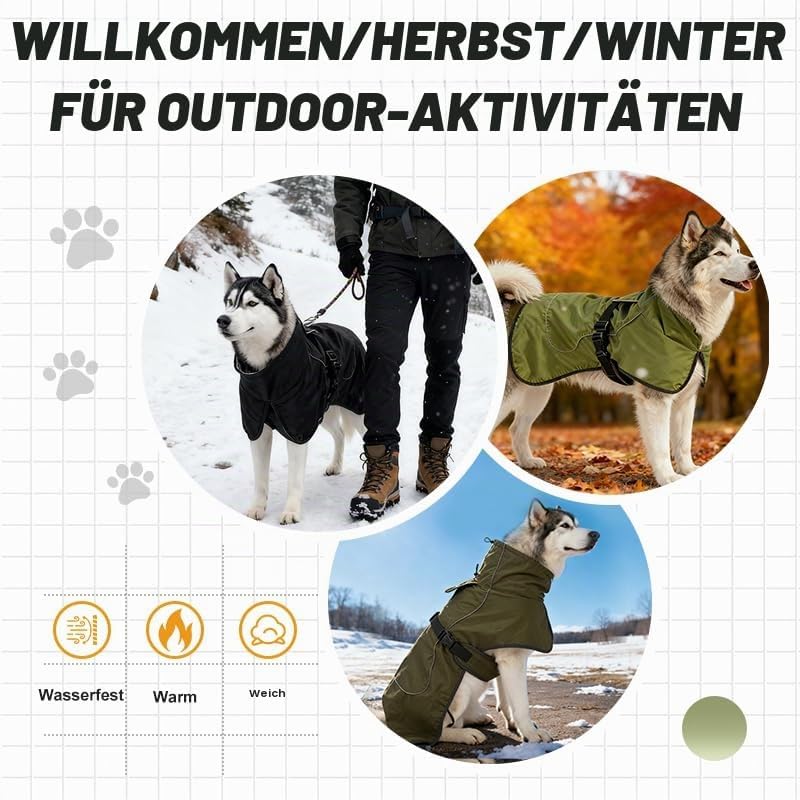 Hunderegenmantel wasserdicht &amp; windfest - Einstellbar für kleine, mittelgrosse, grosse Hunde - Leich